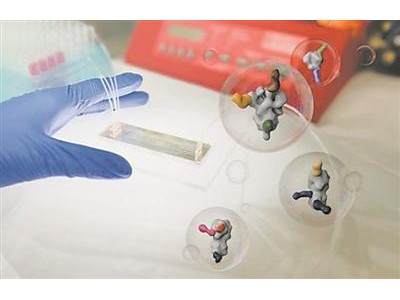 微芯片可揭示个体抗体与病毒的“战争”
