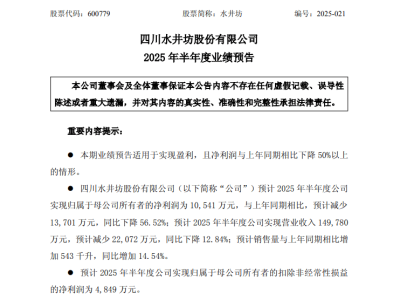 水井坊业绩下滑背后：品牌与市场布局彰显长期主义智慧