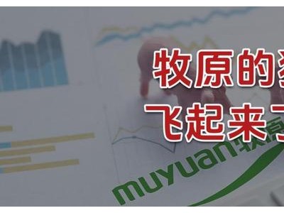 牧原的猪，飞起来了！