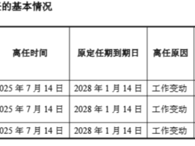 闻泰科技管理层大变动！半导体业务新篇章即将开启？
