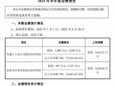 耐普矿机上半年净利预计暴跌超七成，董事长年薪百万稳坐钓鱼台？