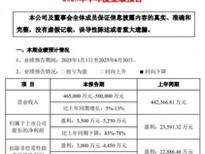 润建股份上半年盈利大降，AI算力投入致净利润承压