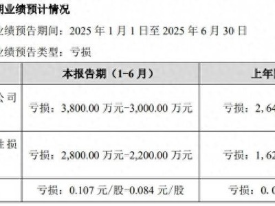 大连友谊控股股东持股全冻结至2028年，上半年预计亏损至少三千万