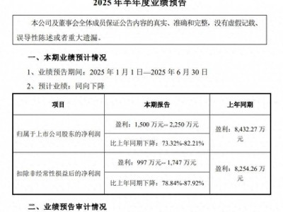 耐普矿机上半年净利预计暴跌超七成，董事长年薪百万稳定四年为何业绩下滑？