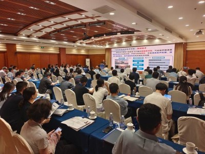 中国科协年会专题论坛聚焦低空飞行器复杂环境效应