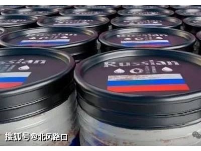 俄石油价格上限再降，能源出口收入锐减，俄方如何应对？