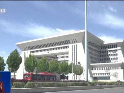 国产新能源车“领航员”：自驾出口，驶向国际舞台