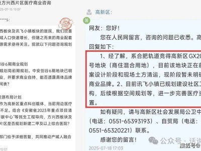 讯飞小镇及方兴西片区医疗商业规划进展，官方详细回应居民关切