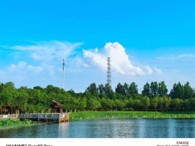 华为Pura80 Pro+影像旗舰，上市月余降价千元，市场策略引关注