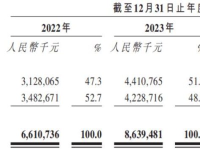 石头科技海外收入反超国内，但新业务毛利率下滑引关注