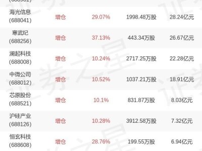 嘉实芯片ETF中报出炉：田光远重仓中芯国际，持仓有何新变化？