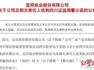 宜宾纸业因信披违规收警示函，收购醋纤公司未及时披露1.9亿元资金滞留