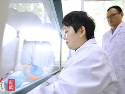 博士后的“研”值担当丨“微生物奇兵”让盐碱地变身大粮仓