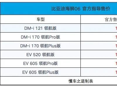 全新中型SUV比亚迪海狮06，售13.98万起