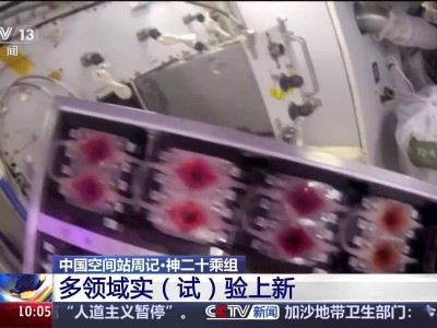 航天员签收“太空快递”后，中国空间站开启多领域新实验
