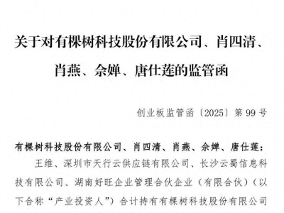 股东自行召会遭拒，有棵树科技信披违规遭深交所点名