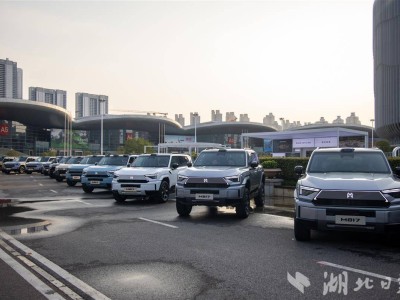 武汉“车谷造”新能源车型频出，上半年十款新车助产业飙升