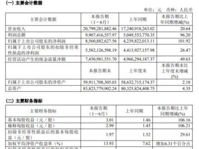 药明康德上半年净利润翻倍，美国市场营收猛增，中期分红达10亿