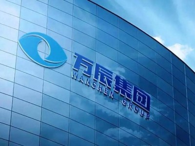 万辰集团换帅：王健坤辞任，家族“姑侄配”接力领航