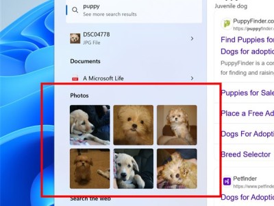 Windows 11新功能上线：搜索框内直接预览本地图片结果