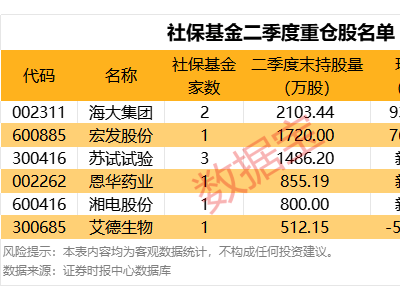 数据宝揭秘：社保基金二季度持股新动向，哪些个股受青睐？