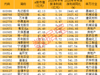 "低市值高增长“小而美”股票名单揭晓，18只潜力股值得关注！"