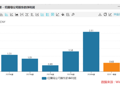 神马电力回购涨停背后：实控人家族为何仍计划减持？