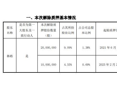 北信源控股股东林皓解除质押3000万股，质押股份仍占持股总数两成以上
