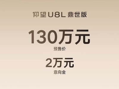 仰望U8L鼎世版：东方鼎韵融合科技，定义百万级行政豪华新高度