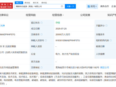 赣锋锂业青海布局新能源，新设综合能源公司注册资本达2亿