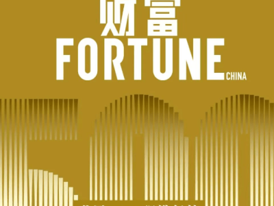2025世界500強中國力量：科技汽車并進，十大高成長企業價值解析