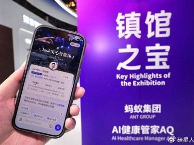蚂蚁AI：应用浪潮中的坚守与创新之道