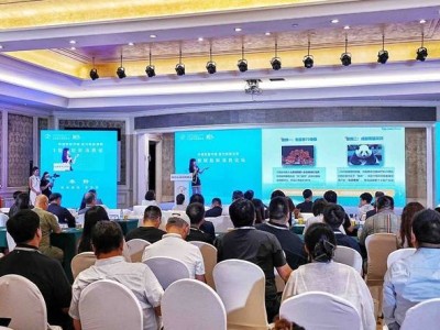 数智新消费：2025太阳岛年会论坛共探未来发展路径