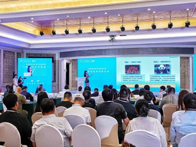 数智新消费，未来已来！2025太阳岛年会论坛精彩纷呈