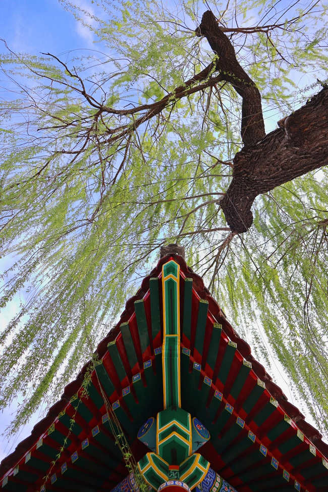 图片10.png