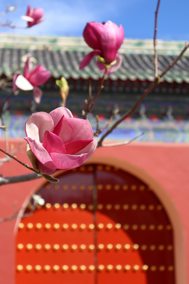 图片12.png