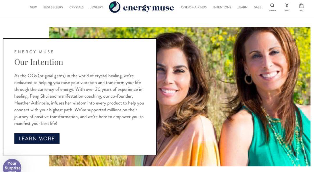 Energy muse 网站截图