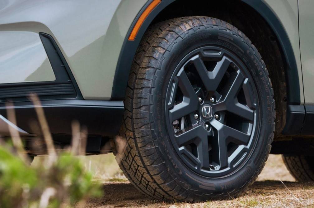 TrailSport版黑化处理