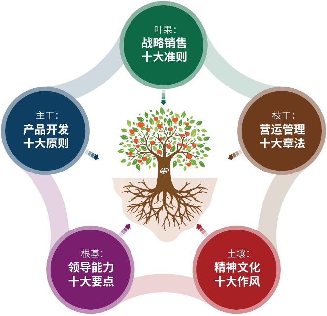 图片 7.png
