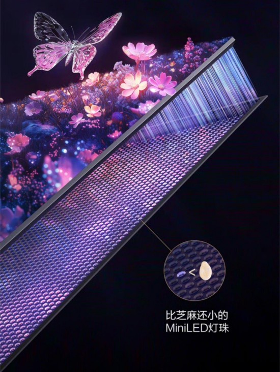 1747365117296042882.jpg 图片8.jpg