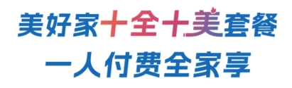 十全十美