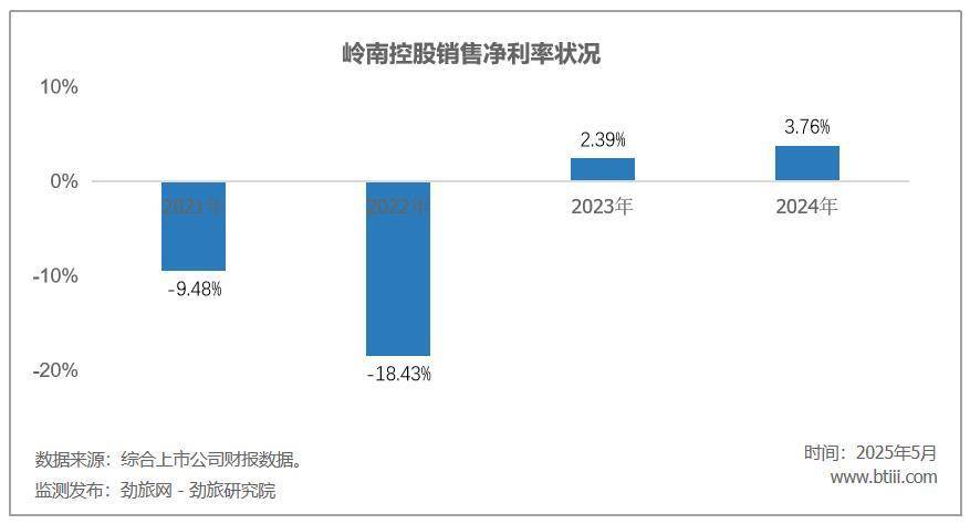 岭南控股整体财务表现