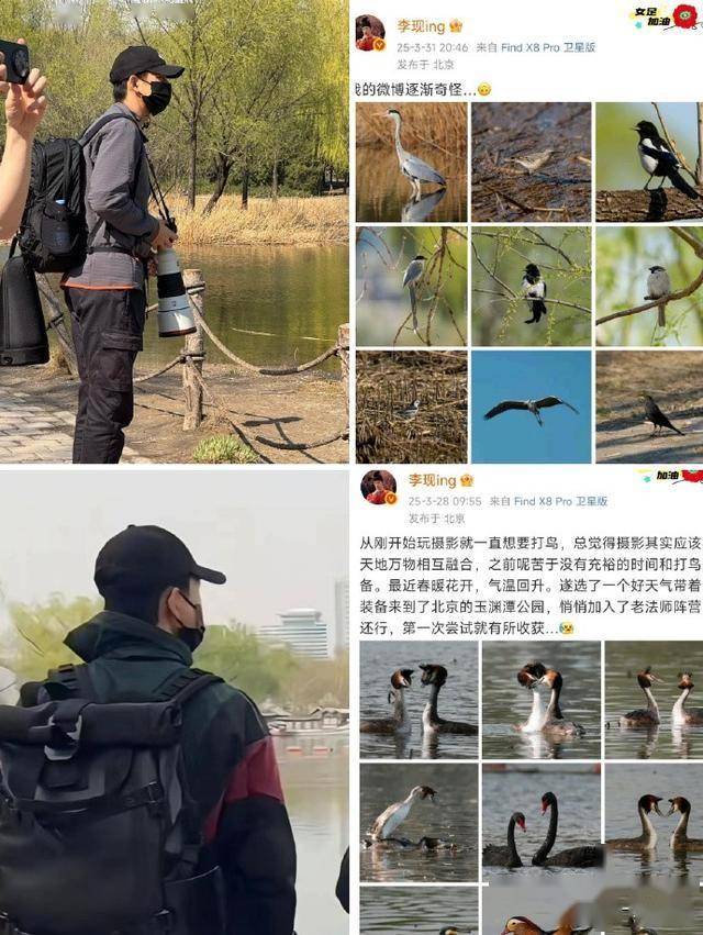 李现拍鸟相关图片