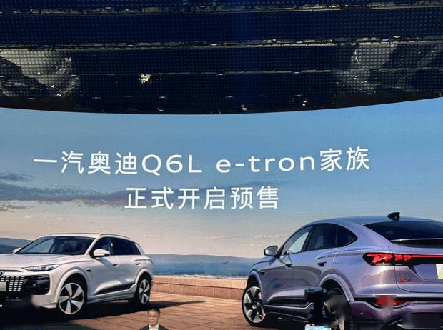 奥迪Q6L e-tron车展现场图