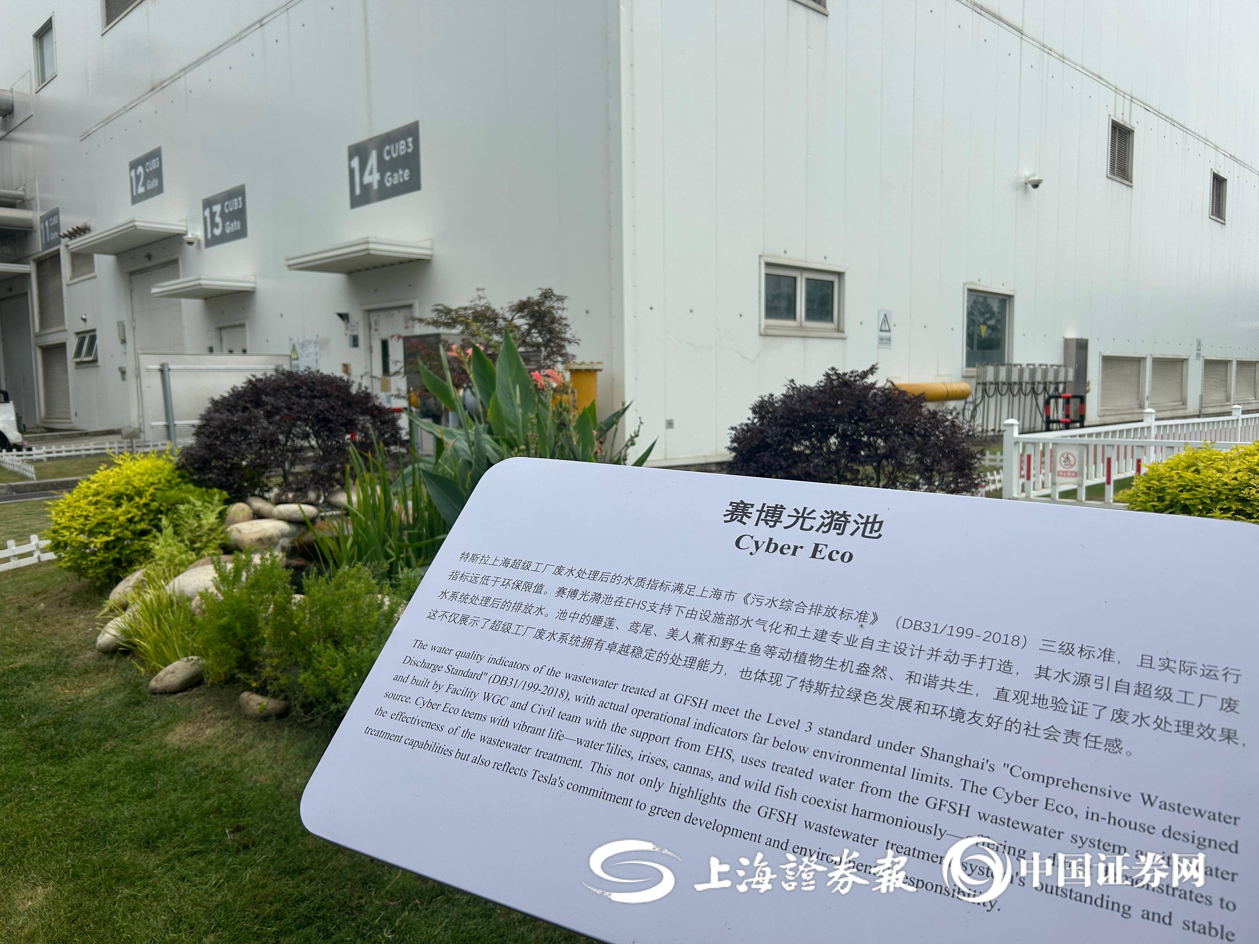 赛博光漪池细节