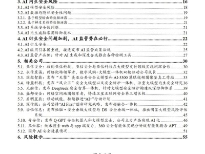 AI+安全：赋能与风险并存，安全大厂竞相布局大模型一体机