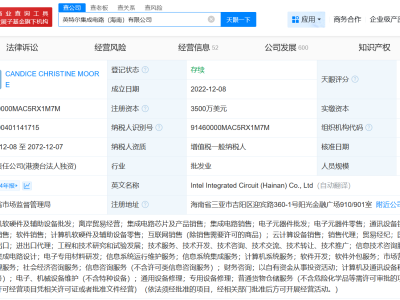英特尔集成电路公司董事长发生变更