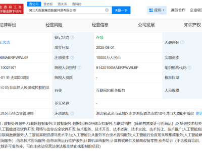 湖北大数据集团一日成立四家新公司，注册资本总额高达3.5亿