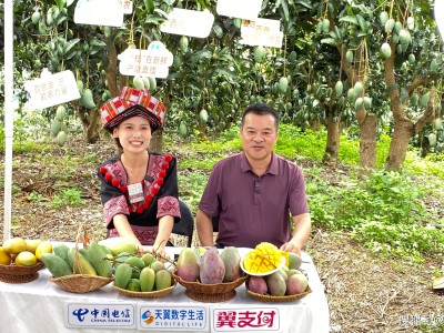 电信翼支付助力，广西晚熟芒果“云”销全国，乡村振兴添翼飞