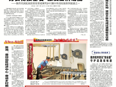 青铜峡农特产品“触网”热销，电商助力乡村振兴新篇章